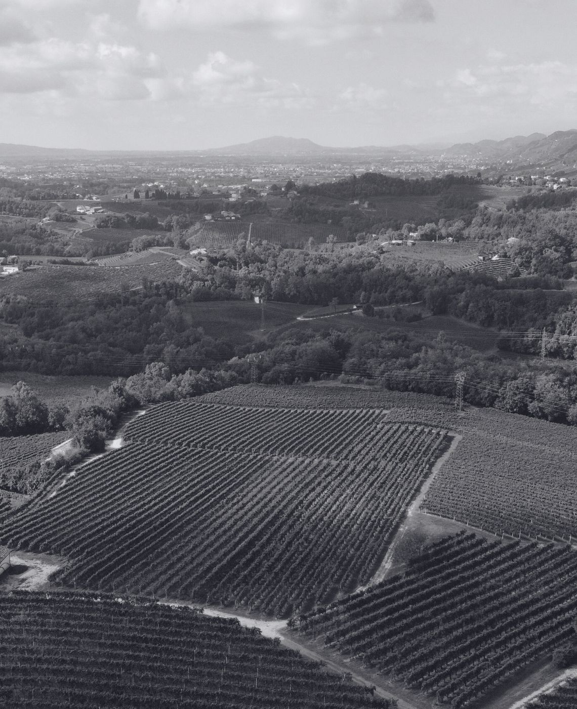 podereitaliano_tall