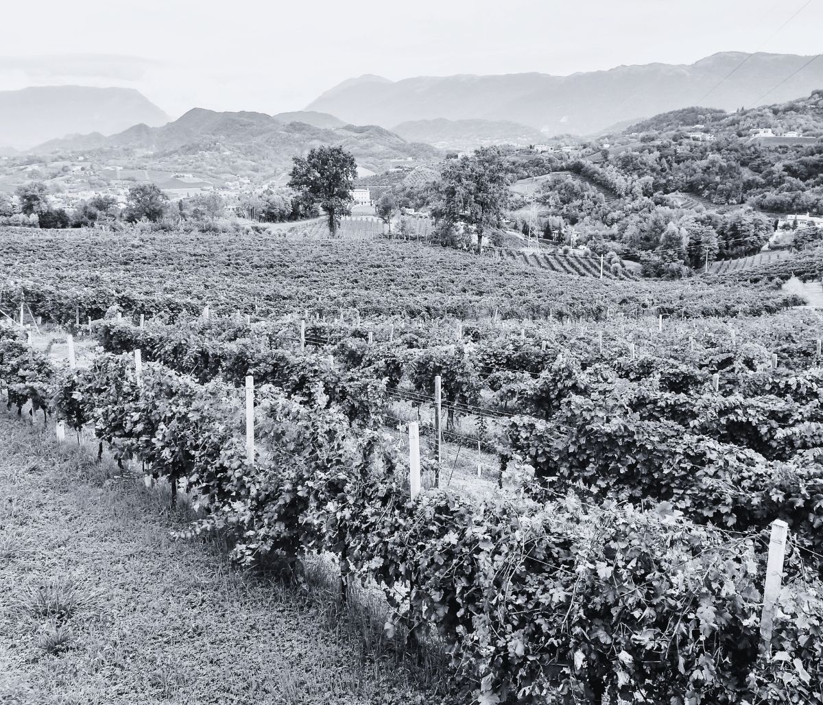 podereitaliano_wide(2)